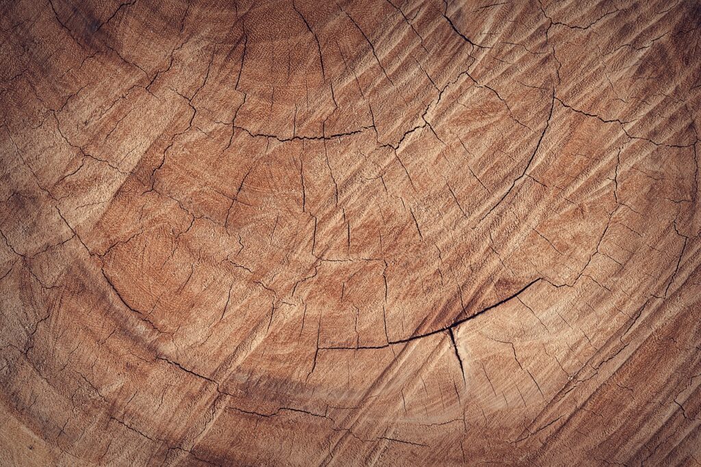 10 Easy and Useful Woodworking Projects 10 Easy and Useful Woodworking Projects