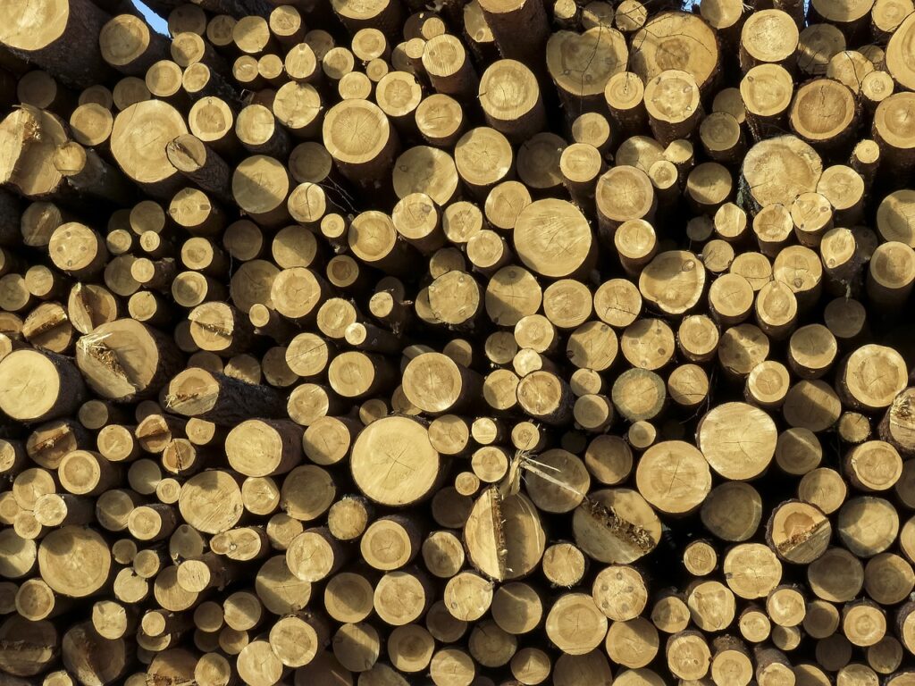 10 Free Wood Working Plans for Beginners