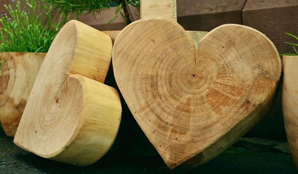 The Future of Industrial Woodworking Machinery