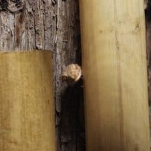 Photo Woodworking Class Bend Oregon