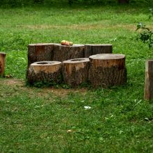 Photo Woodworking Class Noblesville Indiana