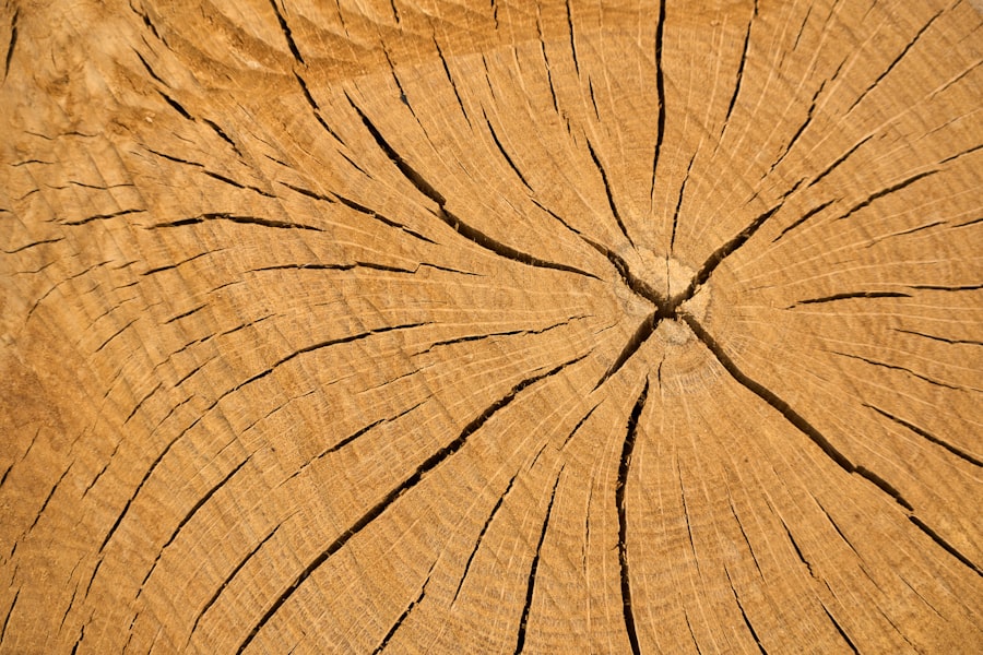 Wood Designer Software