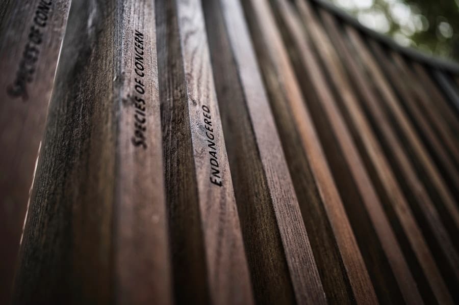 Woodworking Bench Plans Pdf