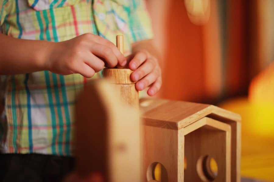 Wooden Toy Woodworking Plans
