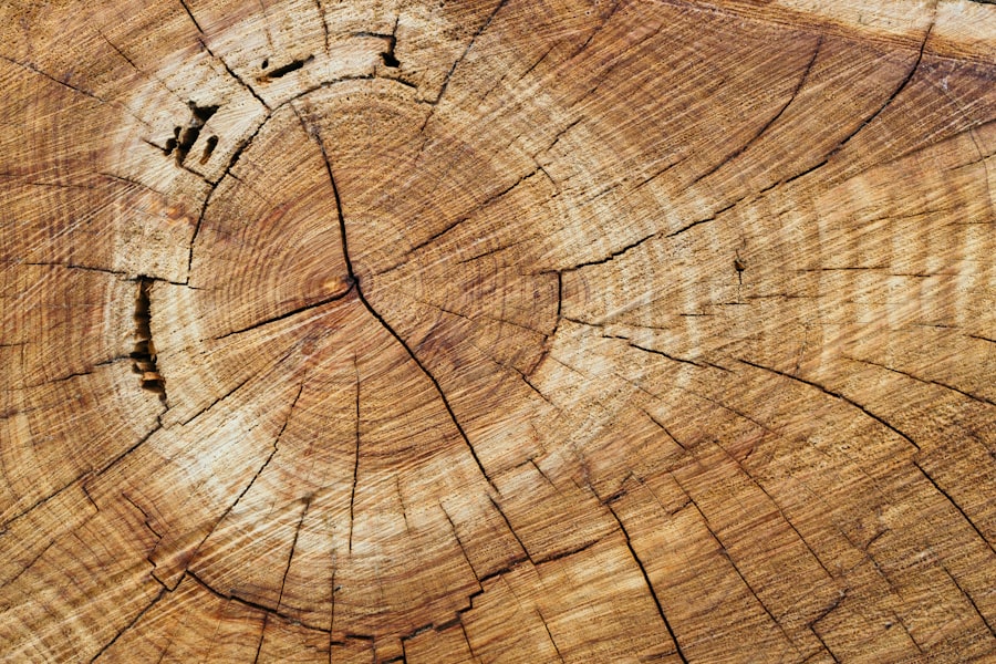 Woodworking Plans Software