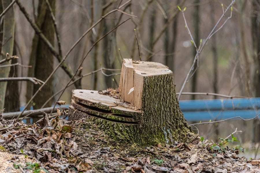 Outdoor Woodworking Projects