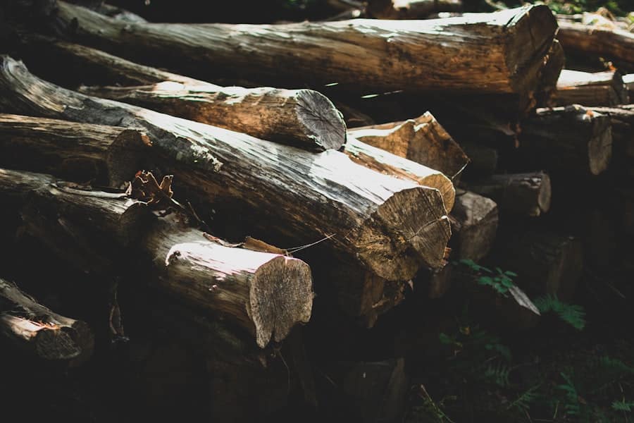 Woodworking Guild Events Schedule