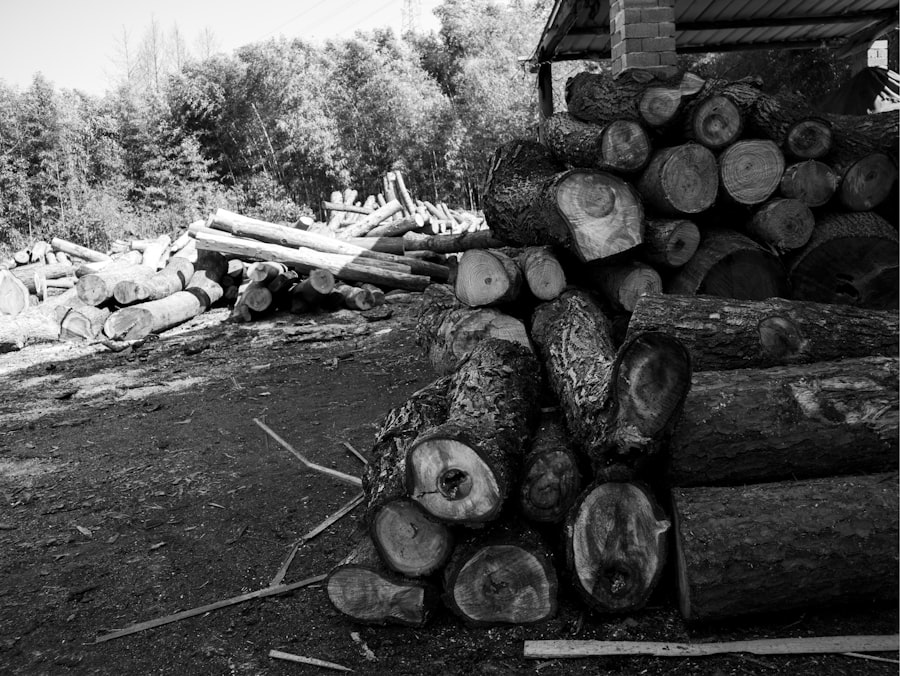 Woodworking Guild Annual Dues