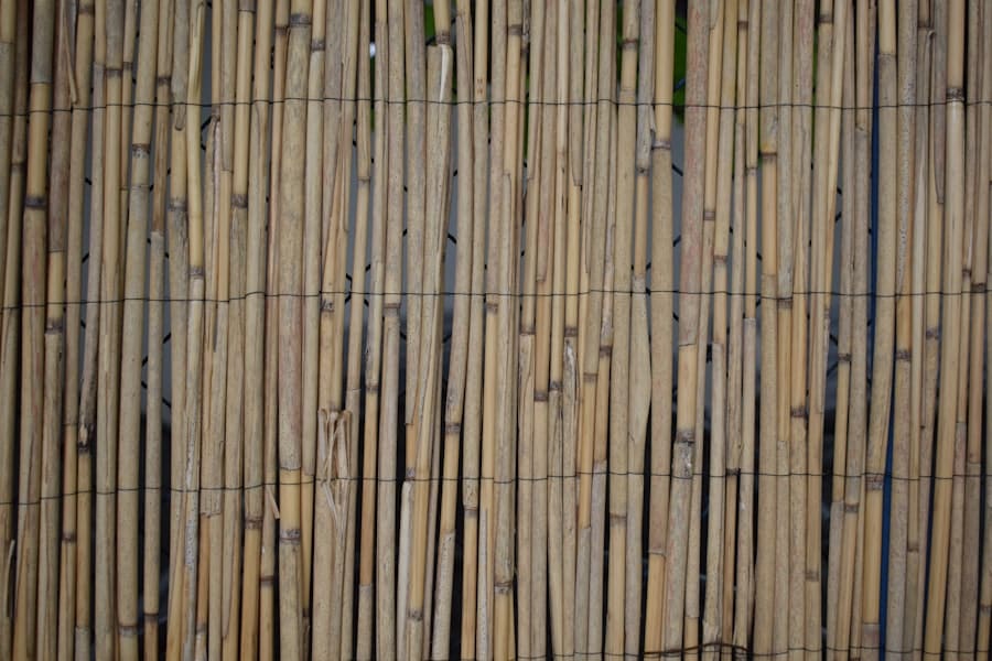 Photo Woodturning Clubs