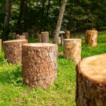Photo Eco-friendly Woodworking