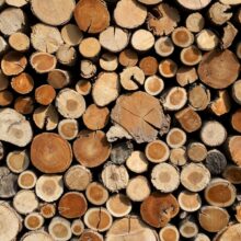 Photo Eco-friendly Woodworks and Design