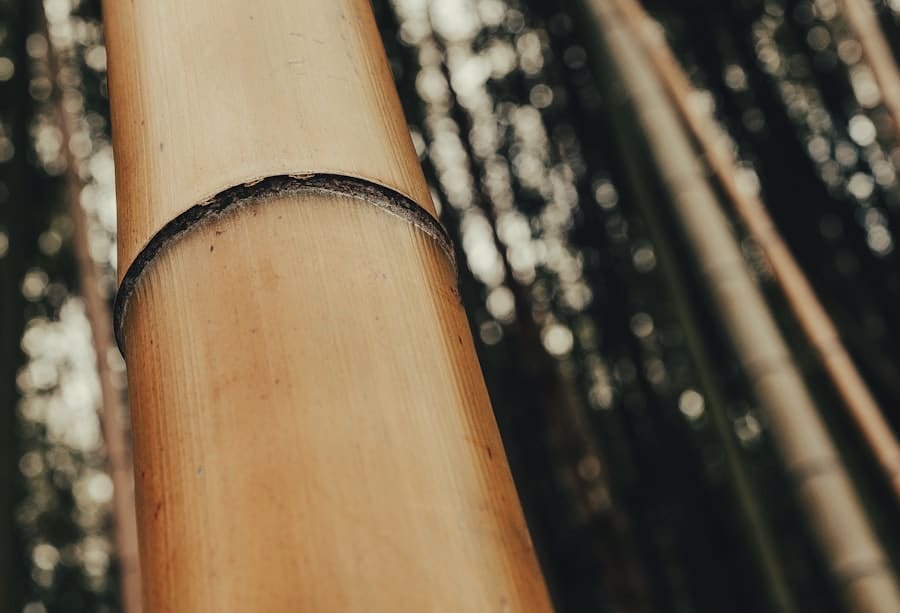 Photo Woodworks Software