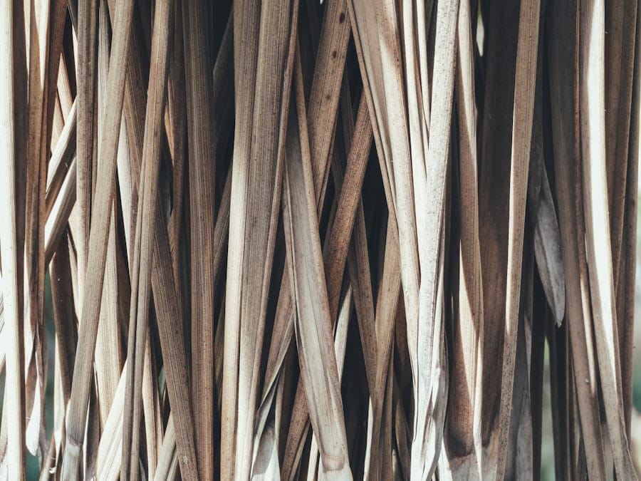 Photo Woodworks Software