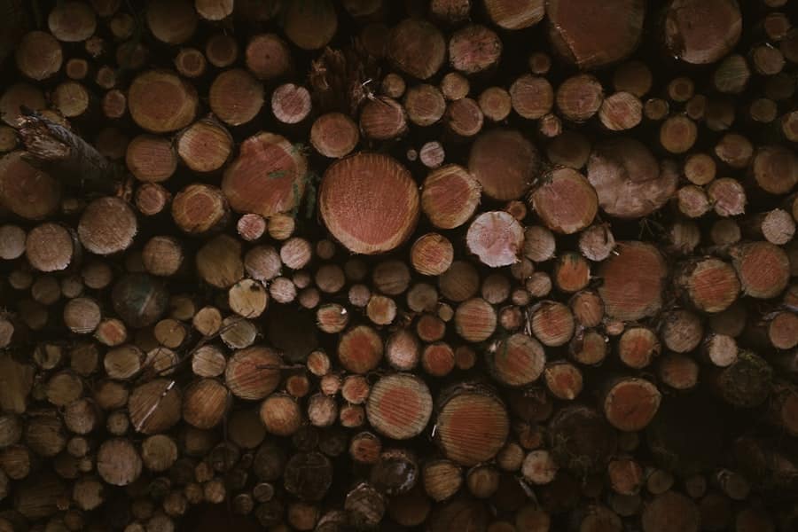 Photo Woodshop Class