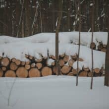 Photo Woodworking Projects