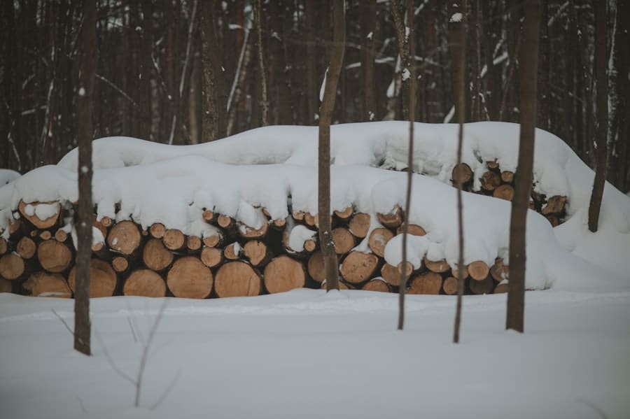 Photo Woodworking Projects