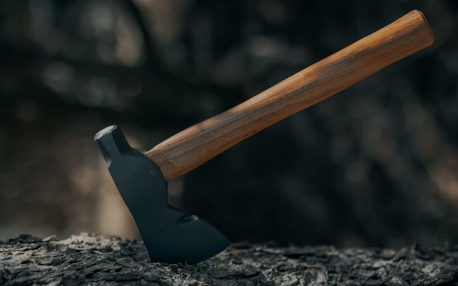 Photo Hatchet