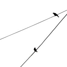 Photo Hatchet vs Axe