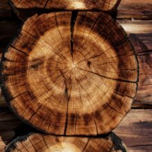 Photo Woodworking Design Apps