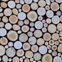Photo Woodworking Design Software