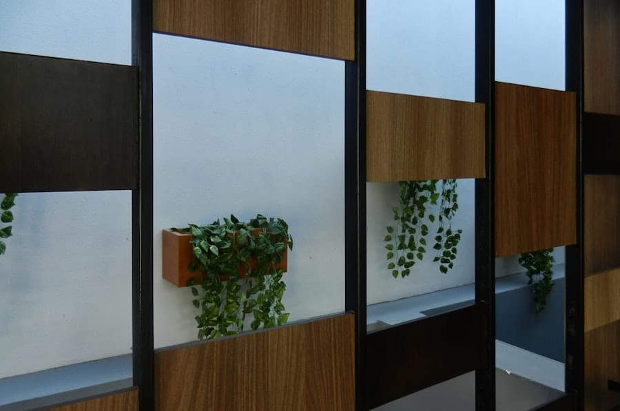 Photo Cabinet Vision Software