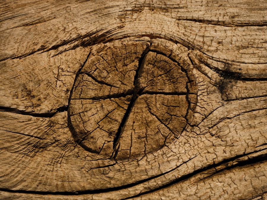 Photo Woodworks Drawing Software