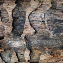 Photo Mortise Wood