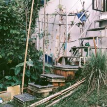 Photo Backyard Ideas with Pallets