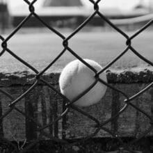 Photo Pallet Fence Ideas