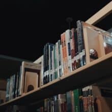 Photo Pallet Shelf