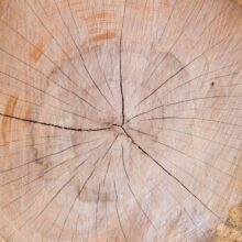 Photo Woodshop Layout Plans