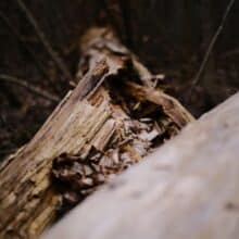 Photo Small Woodshop