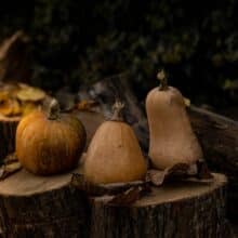 Photo Halloween Woodworking Projects