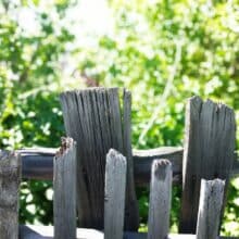 Photo Fence Pallets
