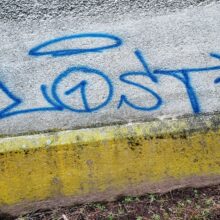 Photo Anarchist Workbench