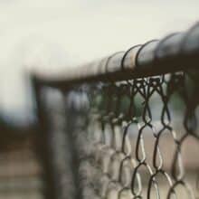 Photo Pallet Fence Ideas