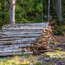 Photo Landscape Timber Projects