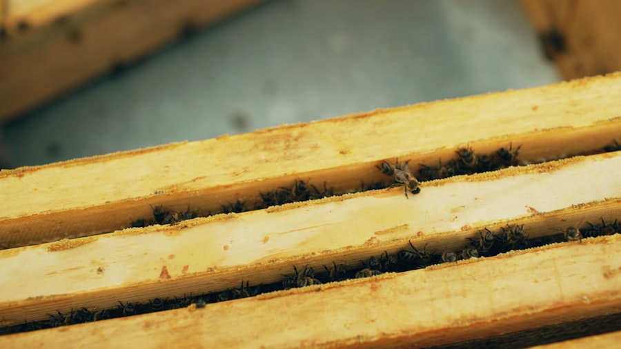 Photo Wood Plug Drill Bits