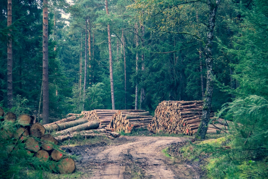 Photo Wood Project Downloads