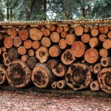 Photo Outdoor Woodworking Plans