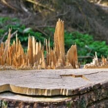Photo Reclaimed Wood DIY Plans