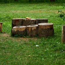 Photo Wood Workshop Setup